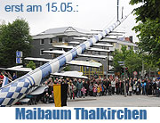 Sein 15-jährigen Gründungsfest und die Aufstellen ihres 4. Maibaums feiert der Maibaumverein Thalkirchen in Thalkirchen am Samstag, 15. Mai 2010 (Foto: Ingrid Grossmann)